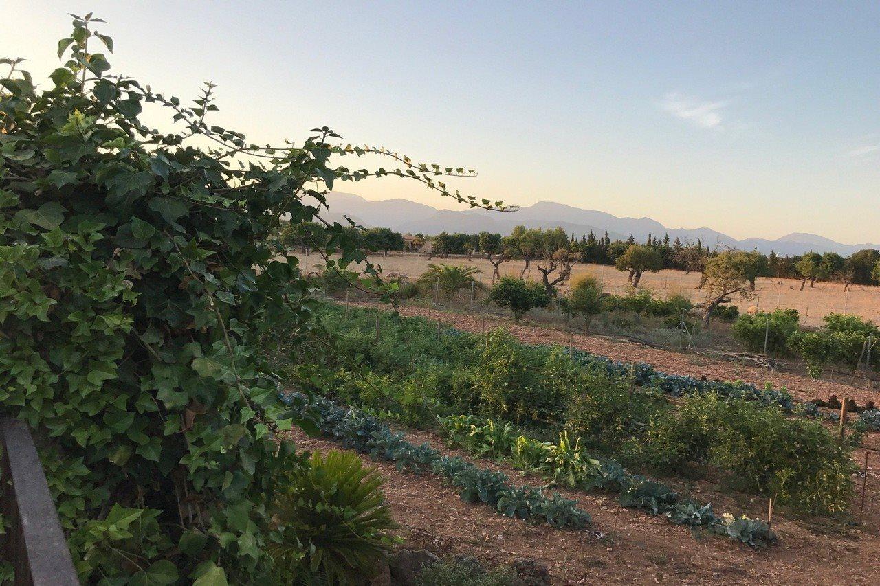 Agroturismo Es Quatre Cantons Binissalem Exterior photo