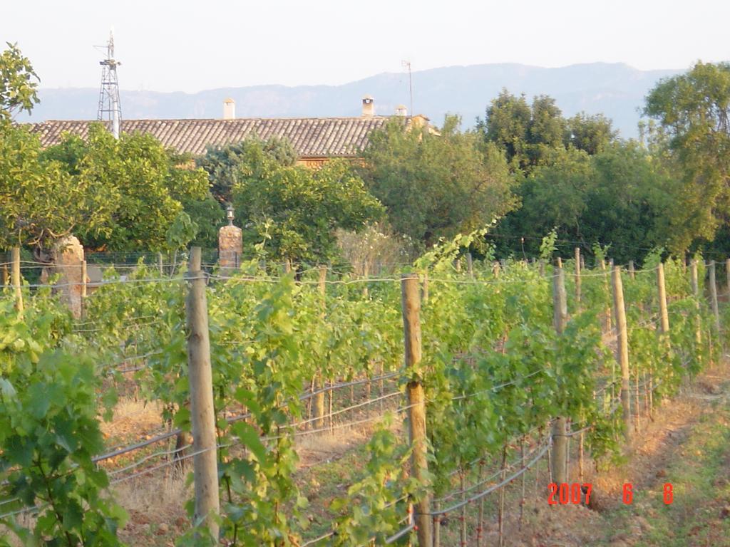 Agroturismo Es Quatre Cantons Binissalem Exterior photo